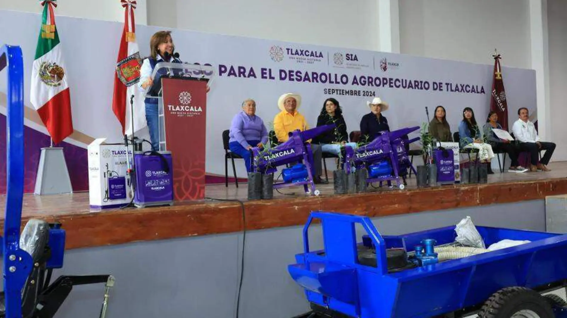 mujeres y justicia